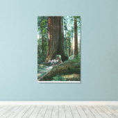 Toile Vue du transport de chevaux sous l'arbre Wawona (Insitu (Plancher de Bois))