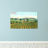 Toile Vue du vignoble GiersbergNapa, CA (Insitu (Plancher de Bois))