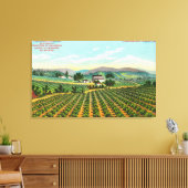 Toile Vue du vignoble GiersbergNapa, CA (Insitu(Salon))