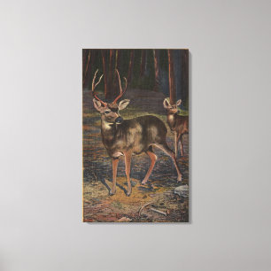 Toile Vue d'un mâle et d'une daine sauvages