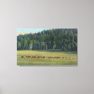 Toile Vue d'un paquet de pâturage de cerfs communs
