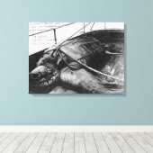 Toile Vue d'une tortue géante en captivité (Insitu (Plancher de Bois))