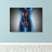 Toile Vue En Rayon X Du Corps Féminin Avec Reproduction (Insitu (Plancher de Bois))