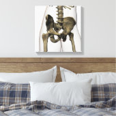 Toile Vue En Trois Dimensions Des Os Pelviques Humains (Insitu(Chambre))