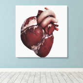 Toile Vue En Trois Dimensions Du Coeur Humain, Avant (Insitu (Plancher de Bois))