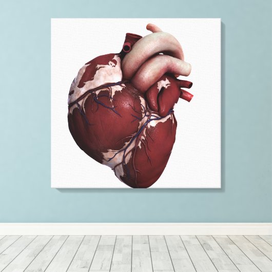 Toile Vue En Trois Dimensions Du Coeur Humain, Avant (Insitu (Plancher de Bois))