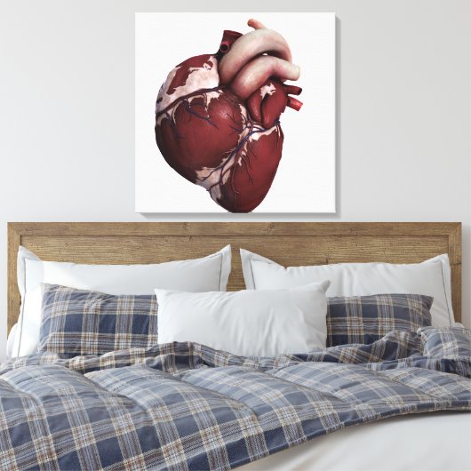 Toile Vue En Trois Dimensions Du Coeur Humain, Avant (Insitu(Chambre))