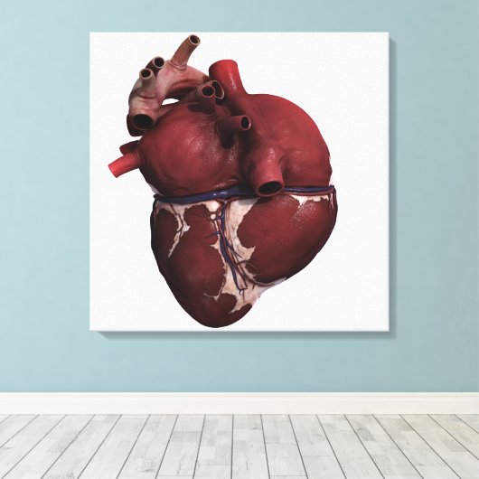 Toile Vue En Trois Dimensions Du Coeur Humain, Retour (Insitu (Plancher de Bois))
