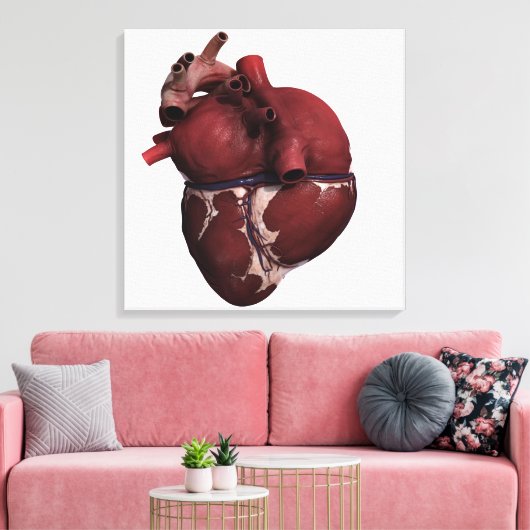 Toile Vue En Trois Dimensions Du Coeur Humain, Retour (Insitu(Salon))