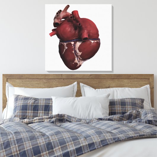 Toile Vue En Trois Dimensions Du Coeur Humain, Retour (Insitu(Chambre))