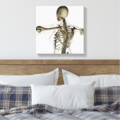 Toile Vue En Trois Dimensions Du Dos Supérieur Féminin (Insitu(Chambre))