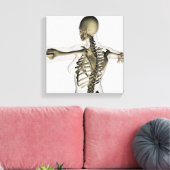 Toile Vue En Trois Dimensions Du Dos Supérieur Féminin (Insitu(Salon))