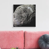 Toile Vue fausse couleur de la lune de Saturne Hyperion (Insitu(Salon))
