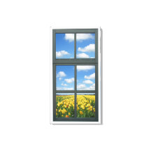 Vue Fenêtre Tulipes Jaunes