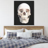 Toile Vue frontale du crâne masculin humain (Insitu(Chambre))
