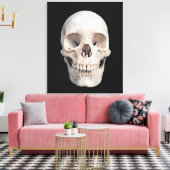 Toile Vue frontale du crâne masculin humain (Insitu(Salon))