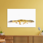 Toile Vue latérale du léopard gecko lizard (Insitu(Salon))