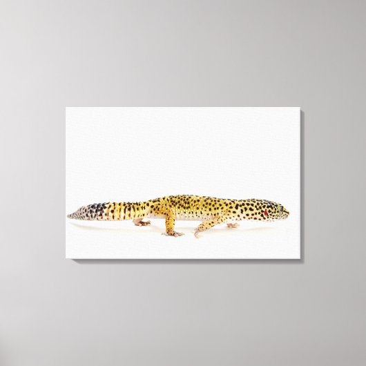 Toile Vue latérale du léopard gecko lizard (Recto)