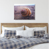 Toile Vue Macro D'Une Coquille Spirale (Insitu(Chambre))