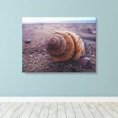 Toile Vue Macro D'Une Coquille Spirale (Insitu (Plancher de Bois))