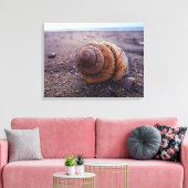 Toile Vue Macro D'Une Coquille Spirale (Insitu(Salon))