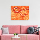 Toile Vue Microscopique De Hookworm 2 (Insitu(Salon))
