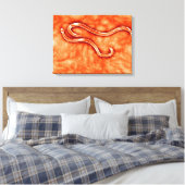 Toile Vue Microscopique De Hookworm 2 (Insitu(Chambre))