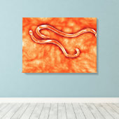 Toile Vue Microscopique De Hookworm 2 (Insitu (Plancher de Bois))