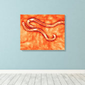 Toile Vue Microscopique De Hookworm 2 (Insitu (Plancher de Bois))