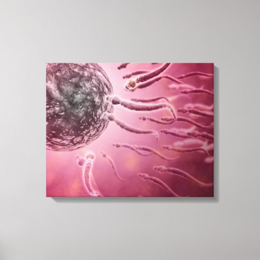 Toile Vue Microscopique De La Nage De Sperme Vers L'Oeuf (Recto)