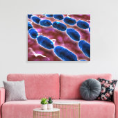 Toile Vue Microscopique De La Pneumonie Bactérienne 1 (Insitu(Salon))