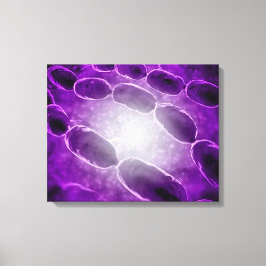 Toile Vue Microscopique De La Pneumonie Bactérienne 2 (Recto)