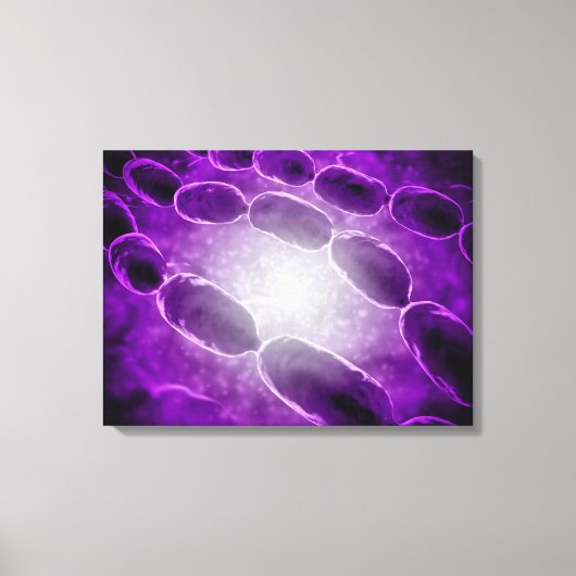 Toile Vue Microscopique De La Pneumonie Bactérienne 2 (Recto)