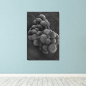 Toile Vue Microscopique De La Tumeur 1 (Insitu (Plancher de Bois))