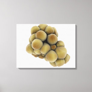 Toile Vue Microscopique De La Tumeur 5