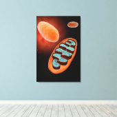 Toile Vue Microscopique De Mitochondrie 1 (Insitu (Plancher de Bois))