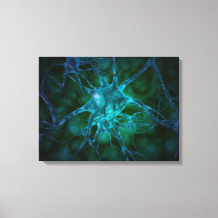 Toile Vue Microscopique De Plusieurs Cellules Nerveuses 