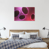 Toile Vue Microscopique De Samllpox 2 (Insitu(Chambre))