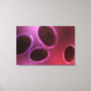 Toile Vue Microscopique De Samllpox 2