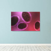 Toile Vue Microscopique De Samllpox 2 (Insitu (Plancher de Bois))