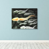Toile Vue Microscopique De Sperm Voyageant (Insitu (Plancher de Bois))