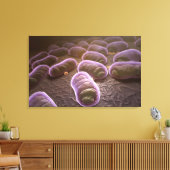 Toile Vue microscopique des bactéries (Insitu(Salon))