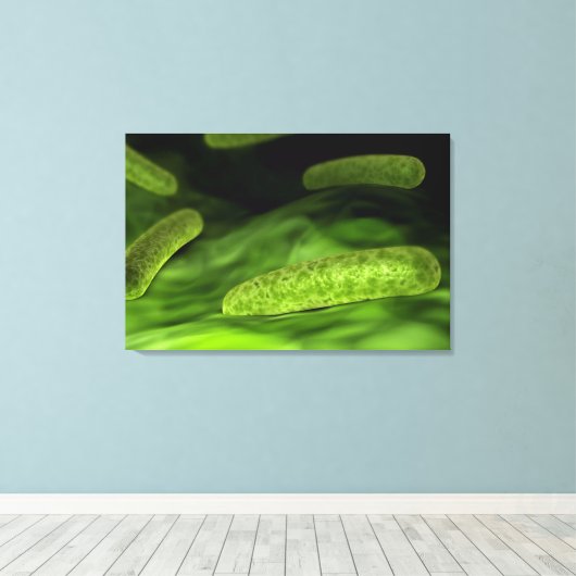 Toile Vue Microscopique Des Bactéries 1 (Insitu (Plancher de Bois))