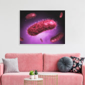 Toile Vue Microscopique Des Bactéries 2 (Insitu(Salon))