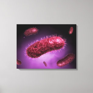 Toile Vue Microscopique Des Bactéries 2