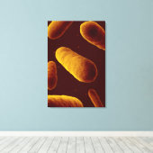 Toile Vue Microscopique Des Bactéries 3 (Insitu (Plancher de Bois))