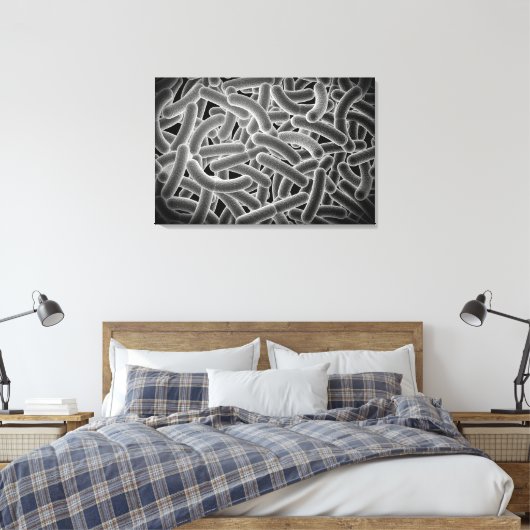 Toile Vue Microscopique Des Bactéries Bactériennes (Insitu(Chambre))