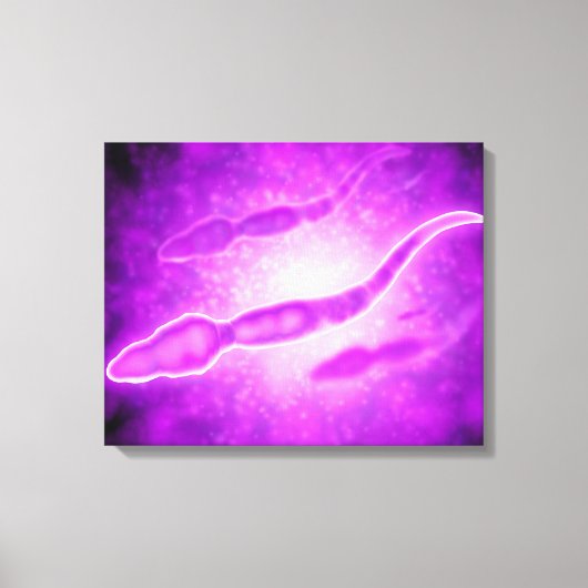 Toile Vue Microscopique Des Cellules Sperm Masculines (Recto)