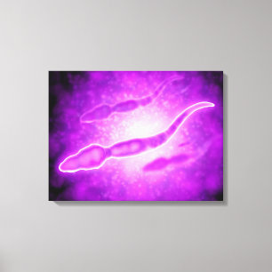 Toile Vue Microscopique Des Cellules Sperm Masculines
