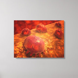 Toile Vue Microscopique Des Macrophages Phagocytiques 1